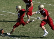 熊猫世界杯2026-伊布爆发！阿尔及利亚提前终结悬念，美国梦碎世界杯预选赛