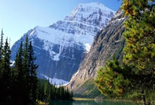 熊猫世界杯2026-黄蜂全面压制湖人，克莱成为关键先生，一场战术与意志的较量